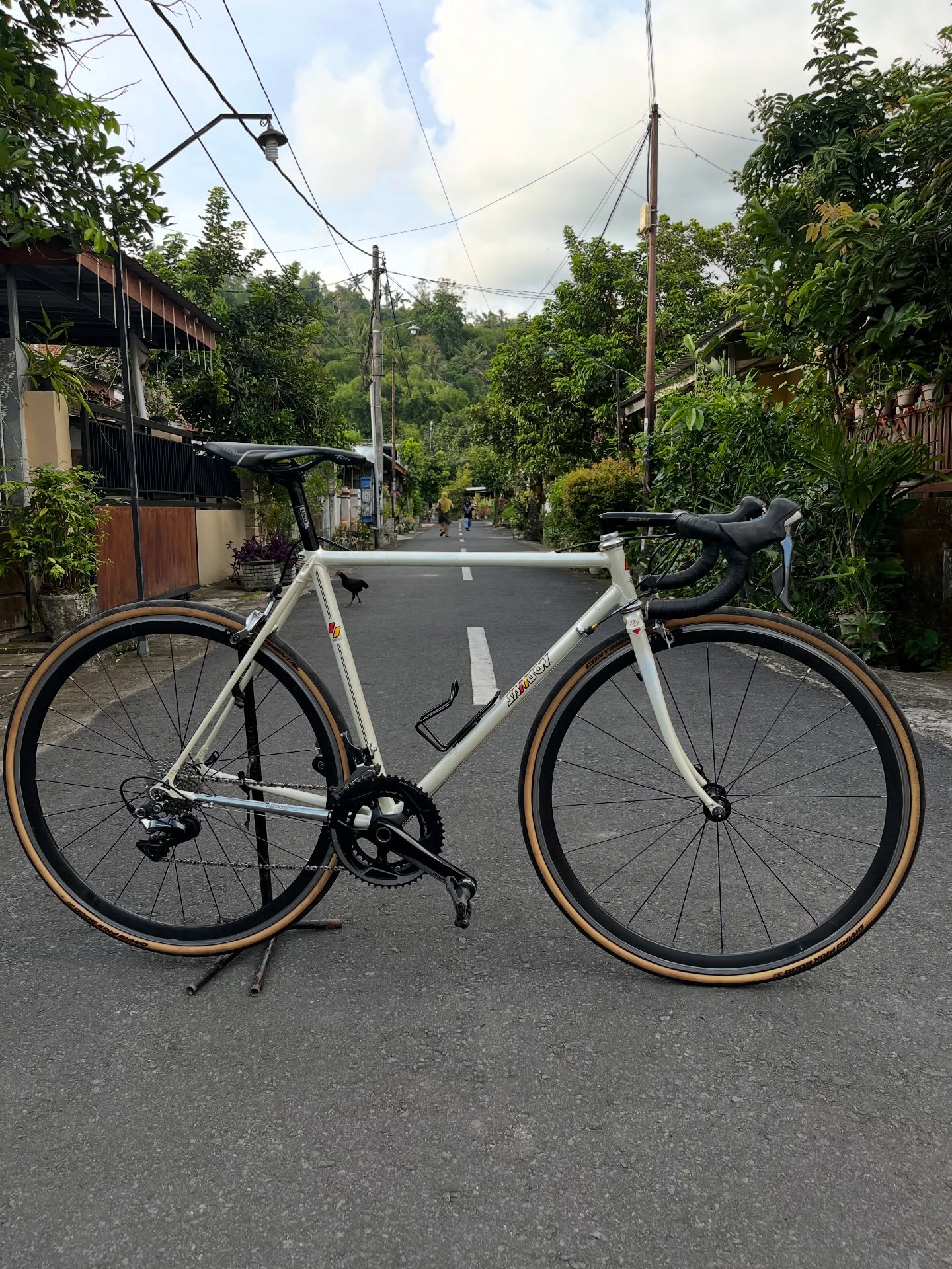 NJS Samson Thumbnail
